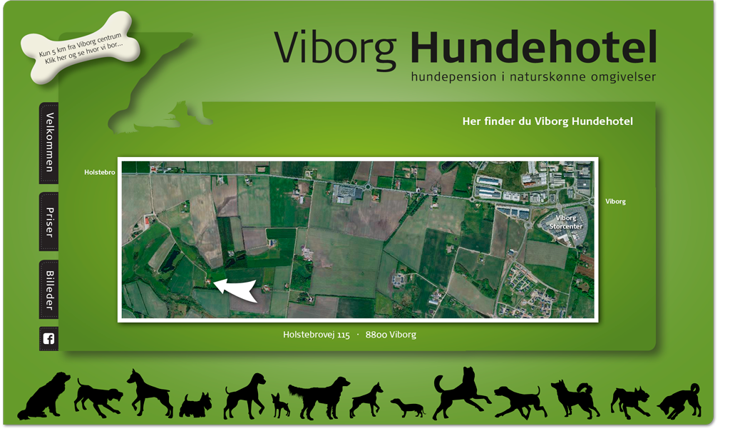 Hundepension tæt på Viborg - Kun 5. km. fra byen